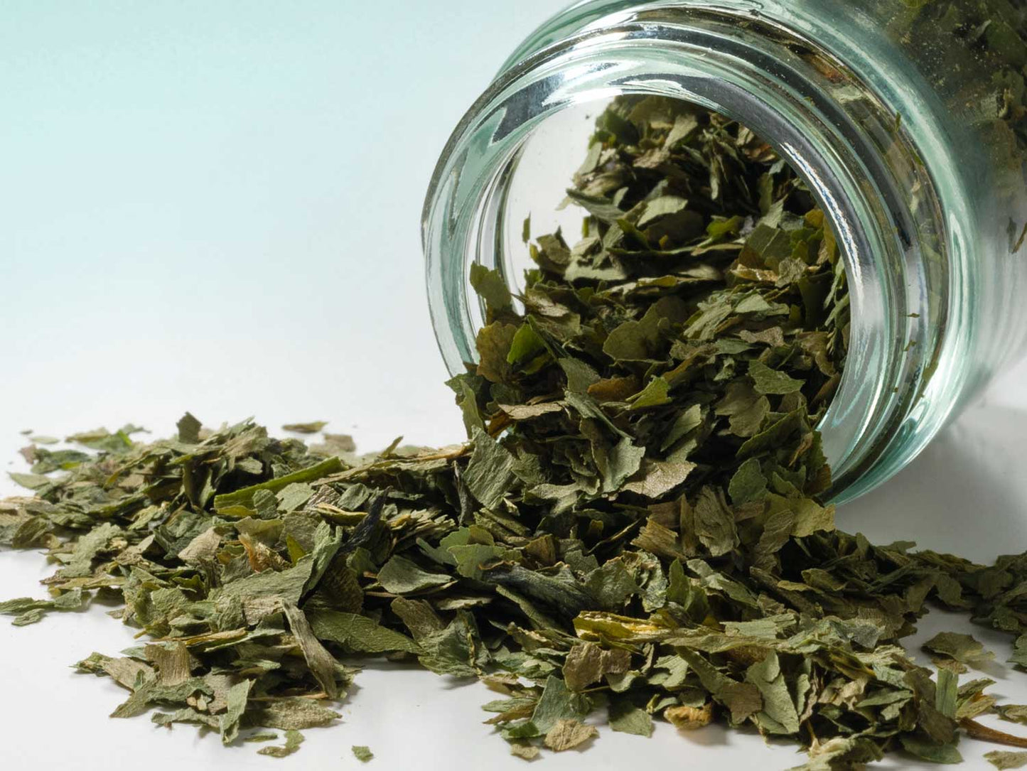Medvehagyma 10g